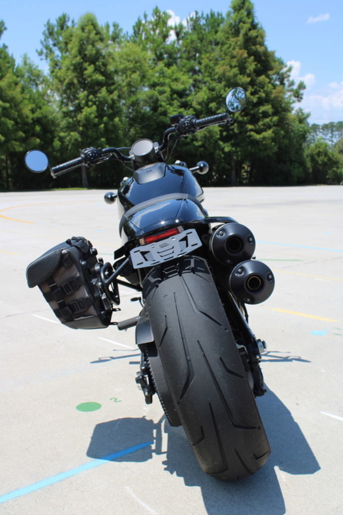 Sportster® S