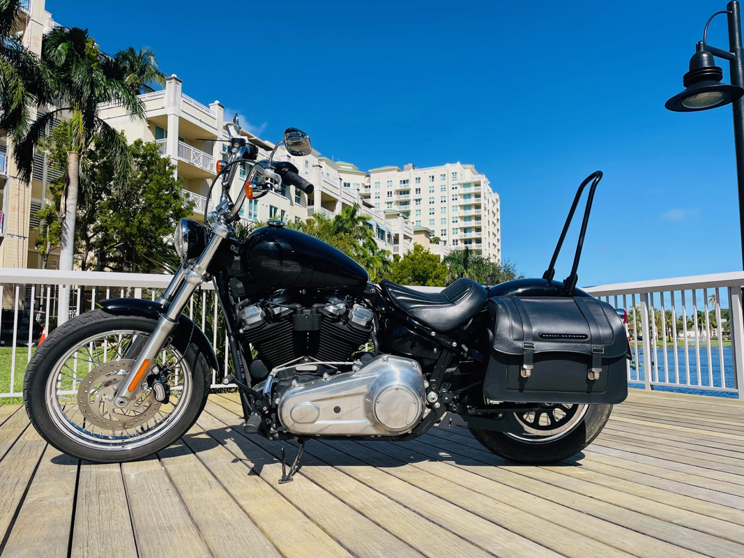 Softail® Standard