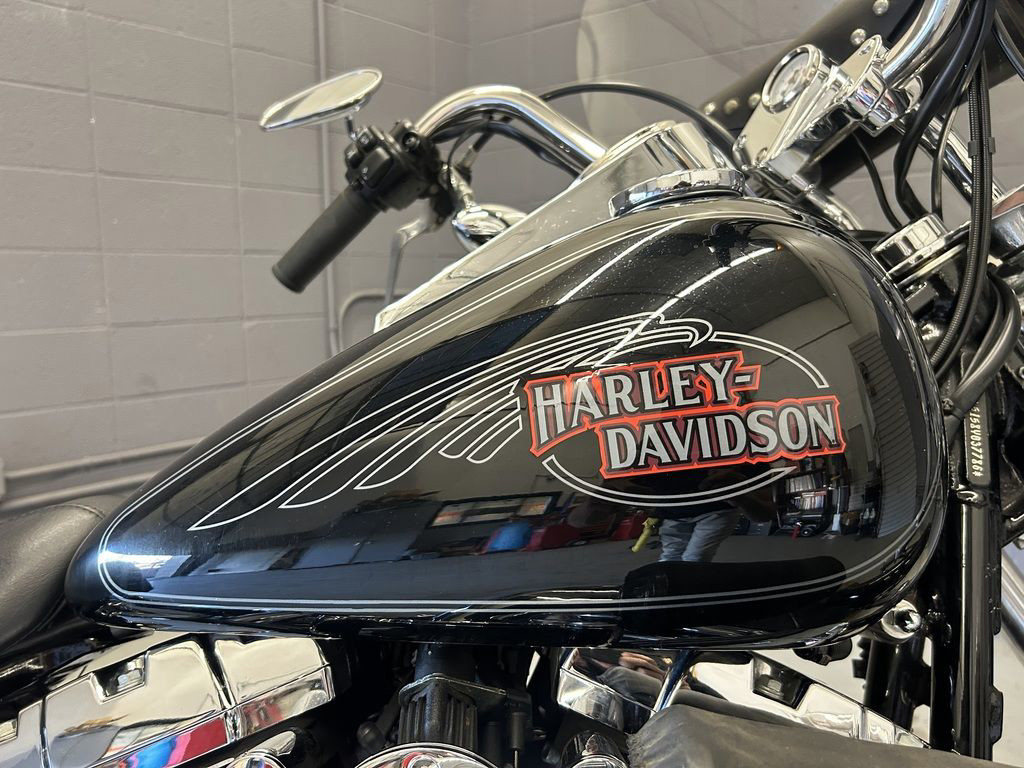 Softail® Custom