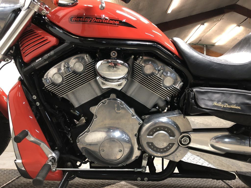 V-Rod® - Black Frame