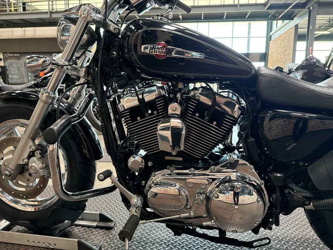Sportster® 1200 Custom - H-D1 Factory Custom