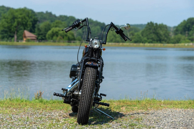 Softail® Standard