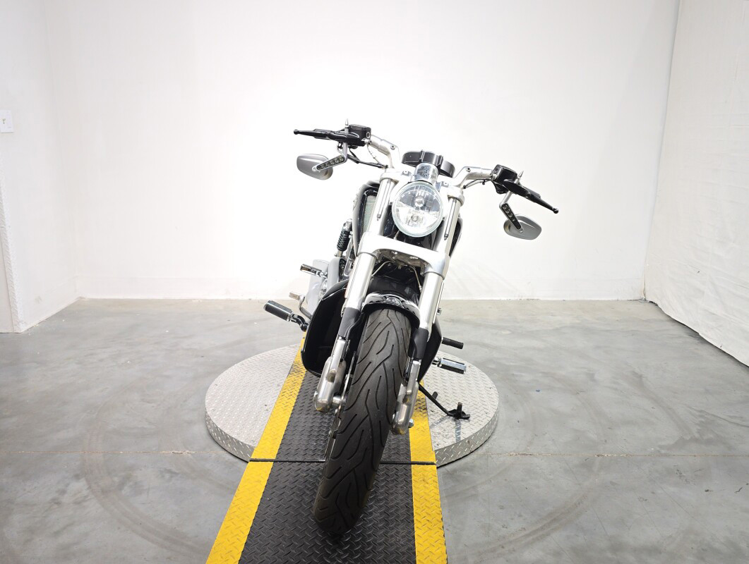 V-Rod® Muscle