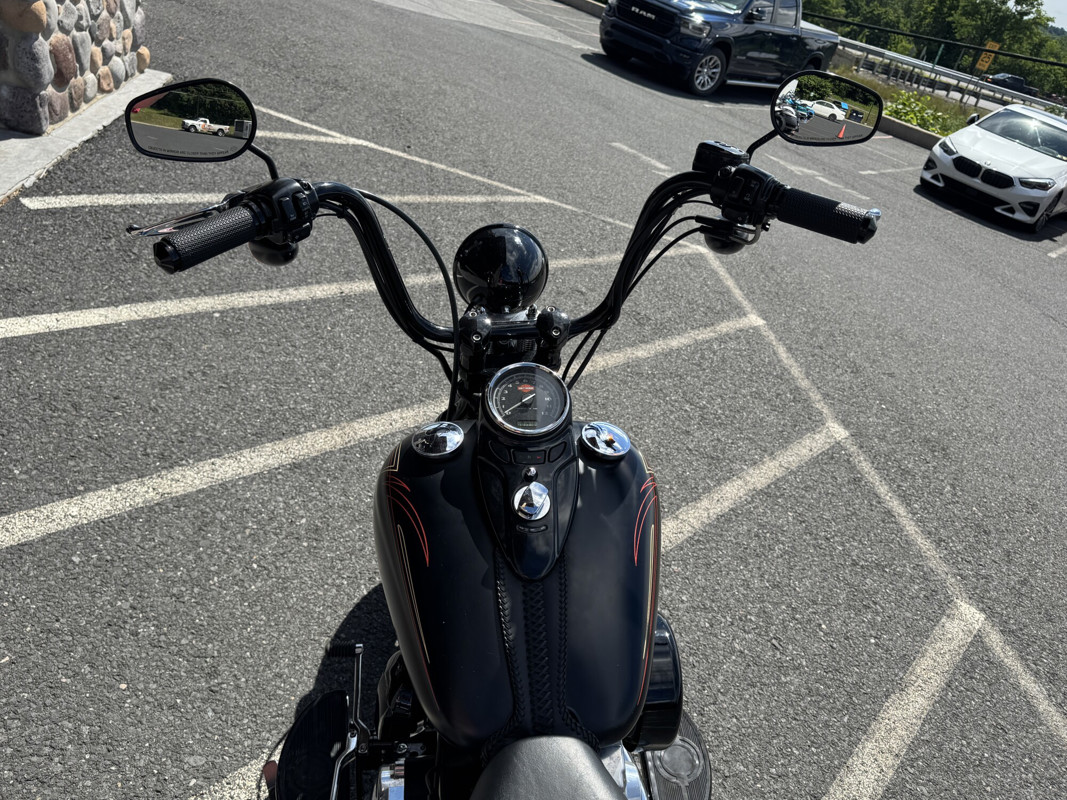 Softail® Cross Bones®