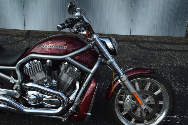 V-Rod®