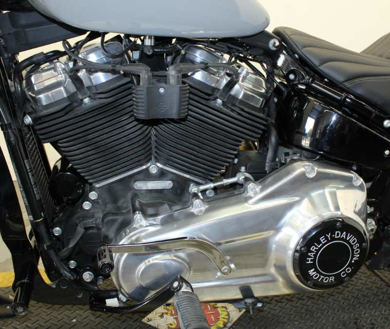 Softail® Standard