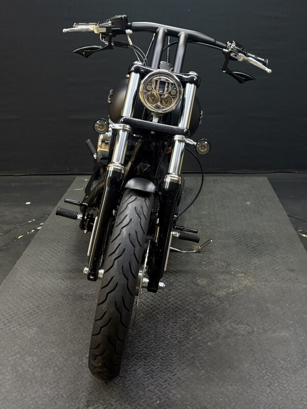 Dyna® Street Bob®