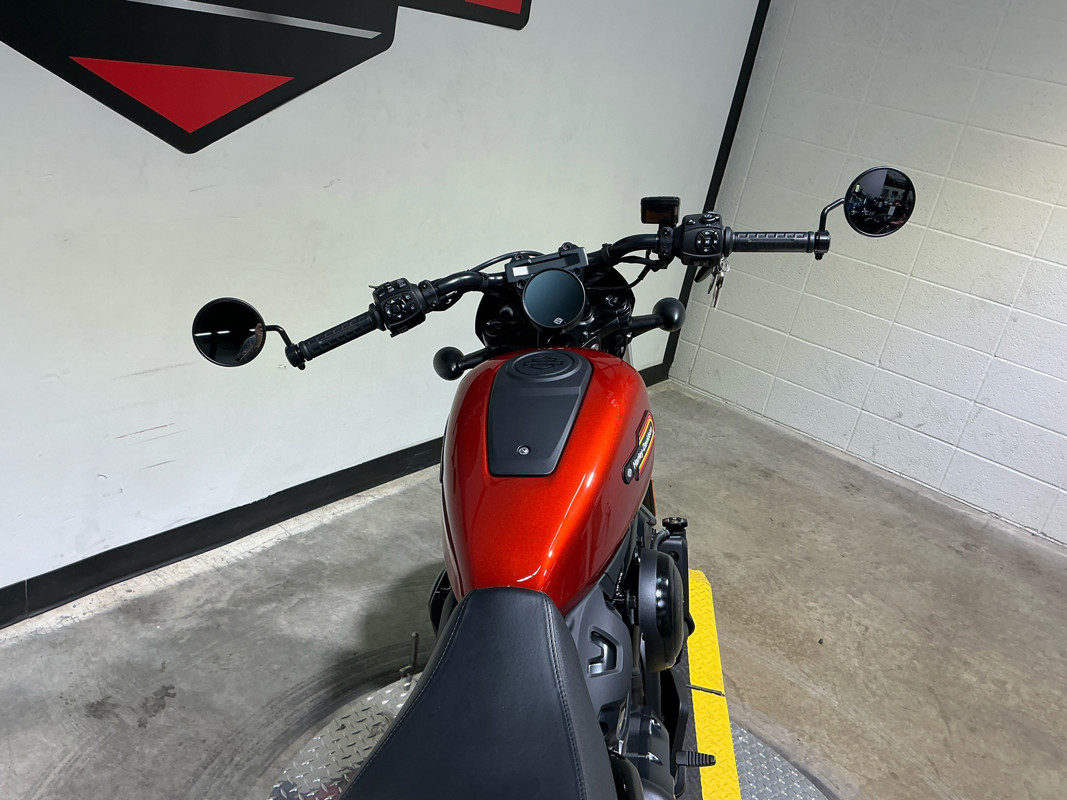 Nightster Special