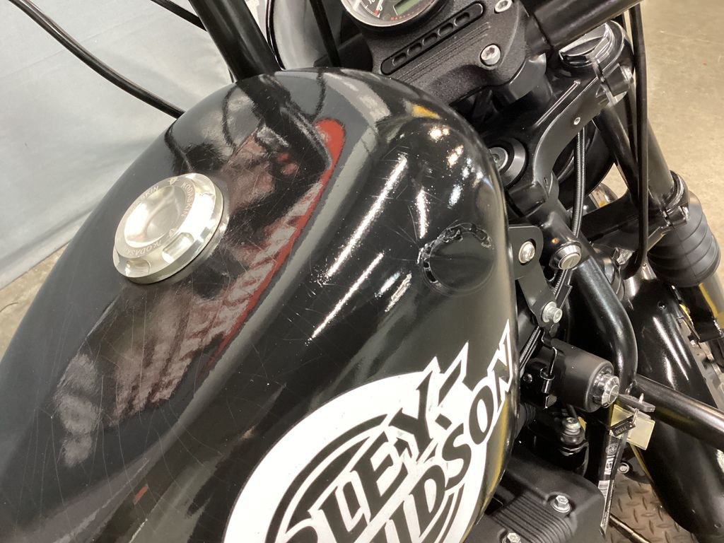 Iron 1200®