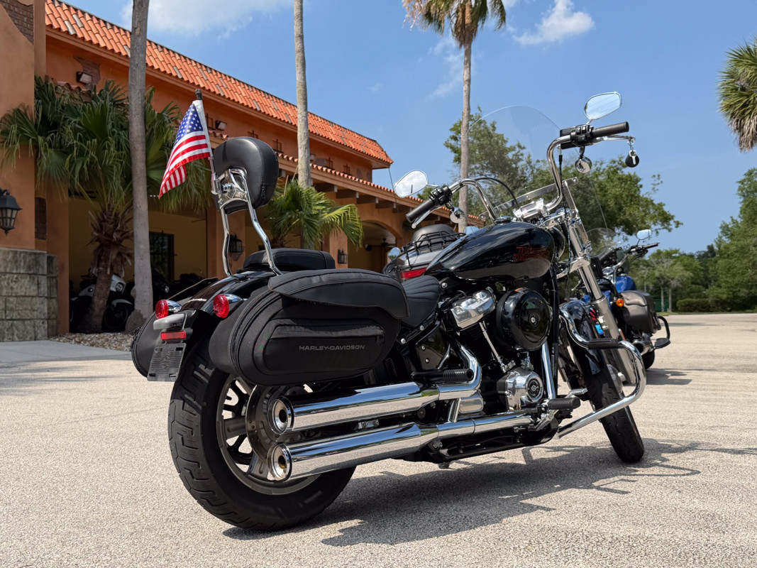 Softail® Standard