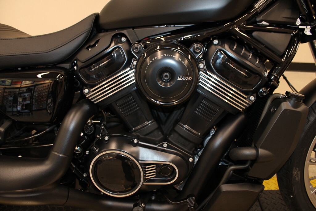 Nightster Special