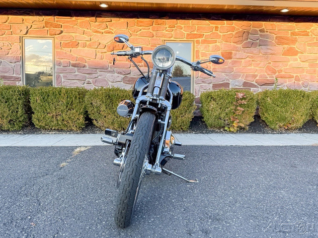 Springer® Softail®