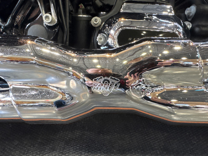Road Glide® Special
