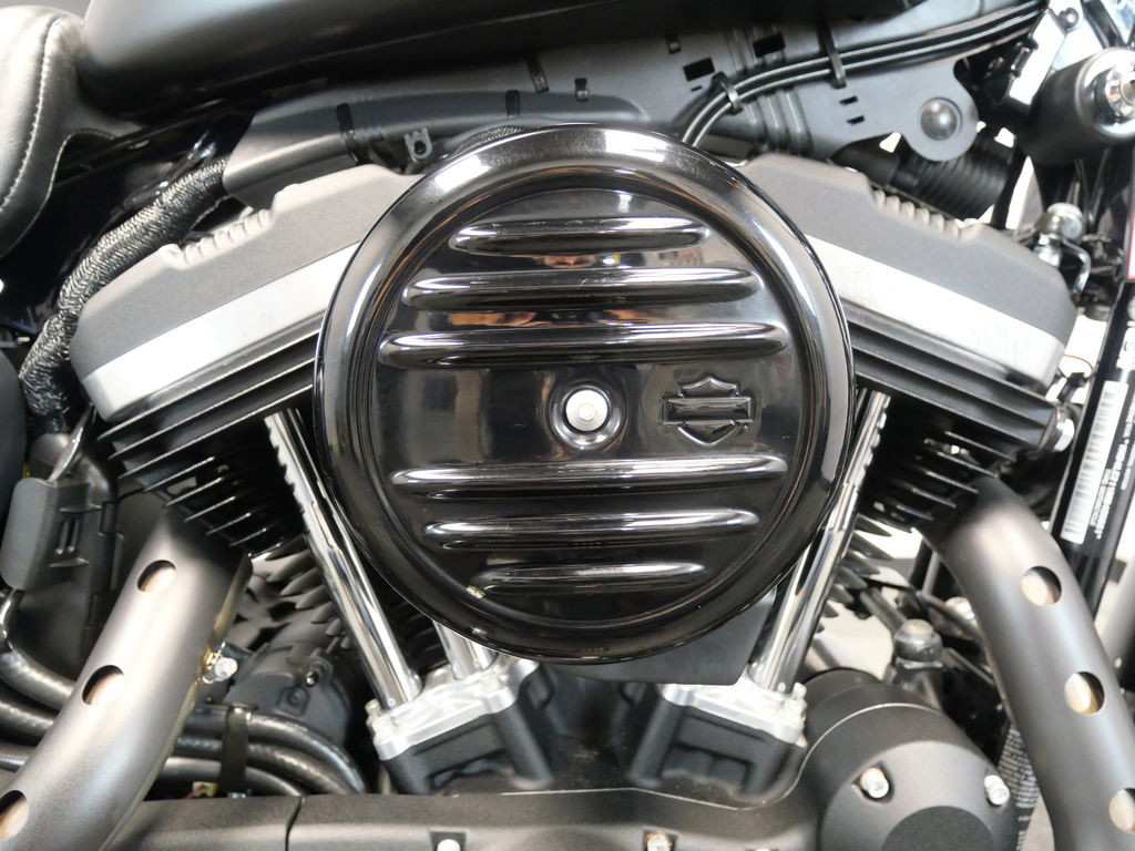 Iron 883®