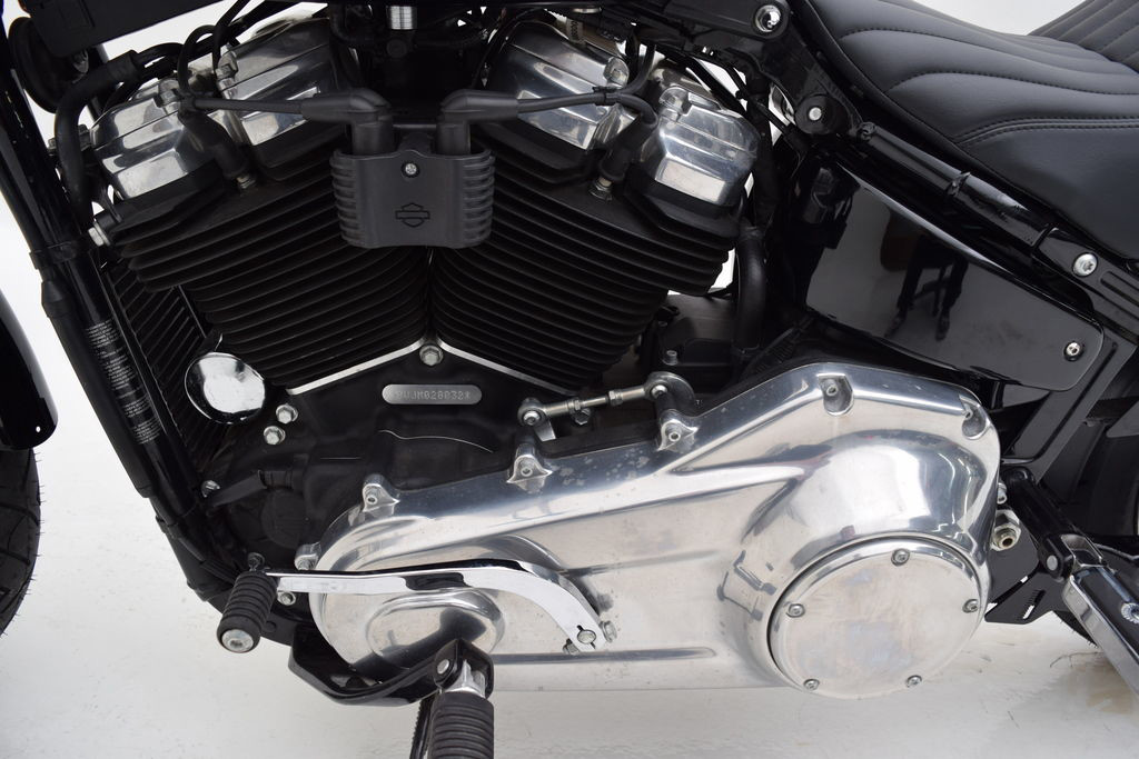 Softail® Standard