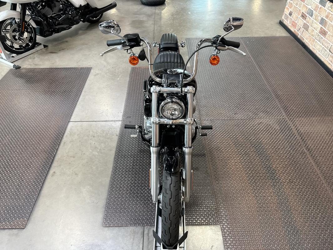Softail® Standard