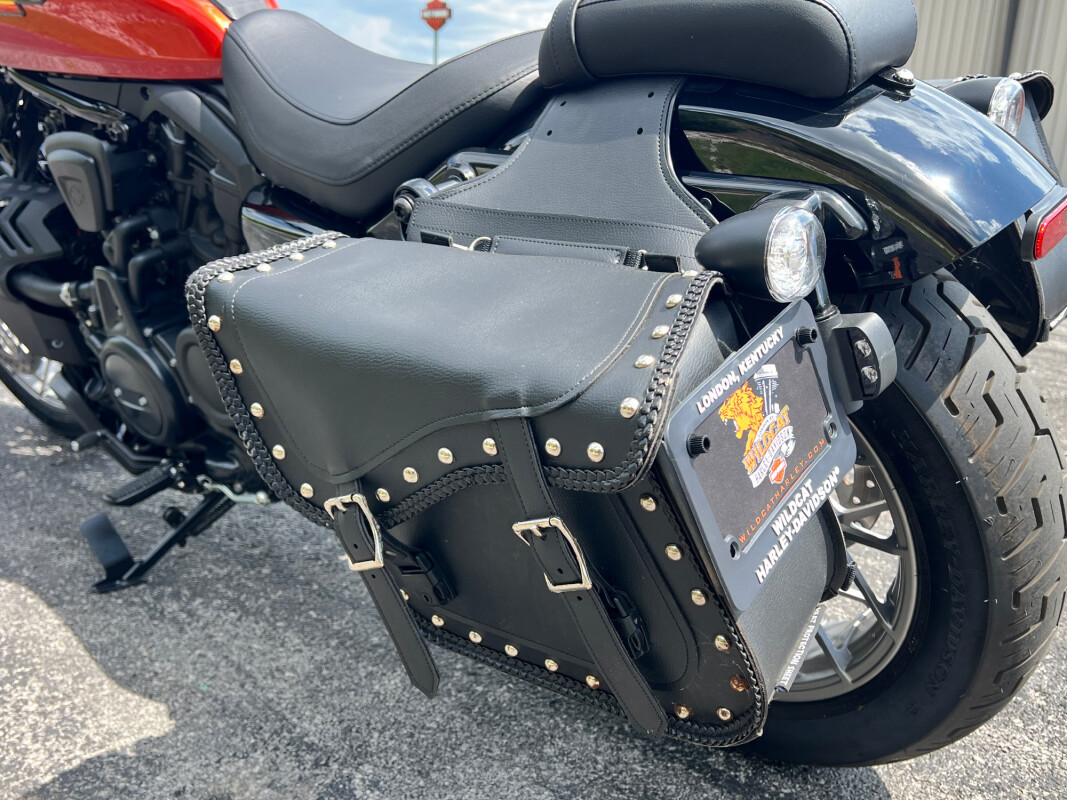 Nightster Special