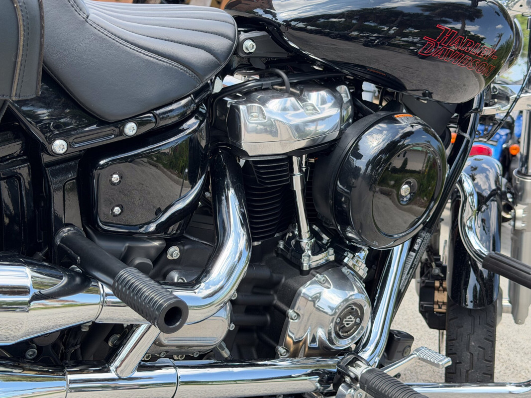 Softail® Standard