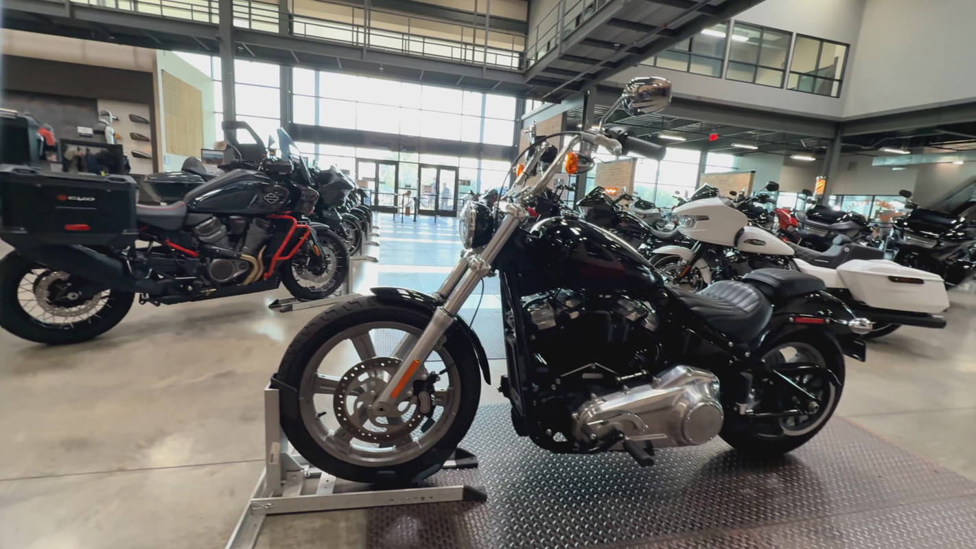 Softail® Standard