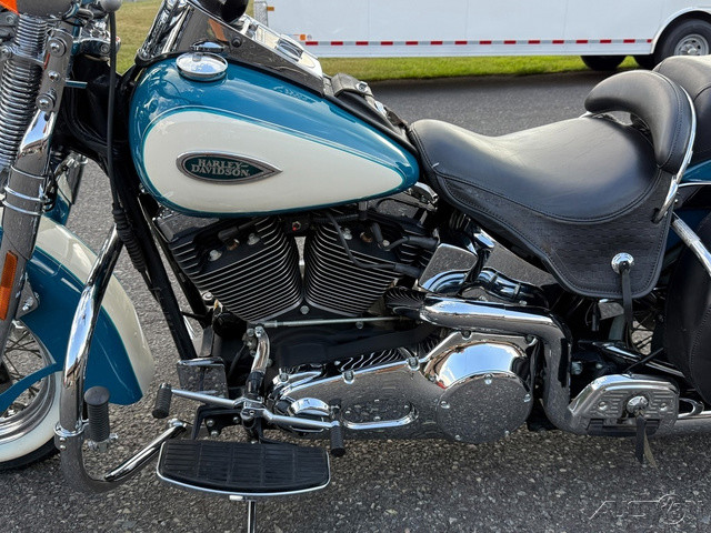 Springer® Softail®