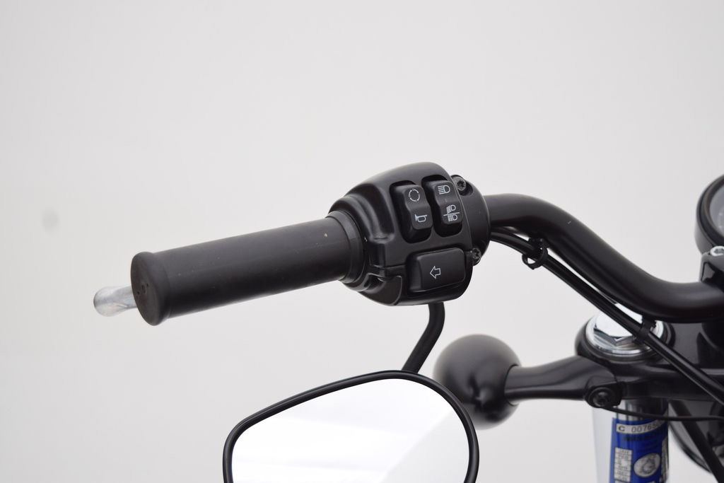 Sportster® Forty-Eight®