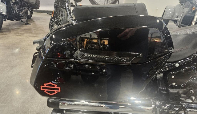Softail® Standard