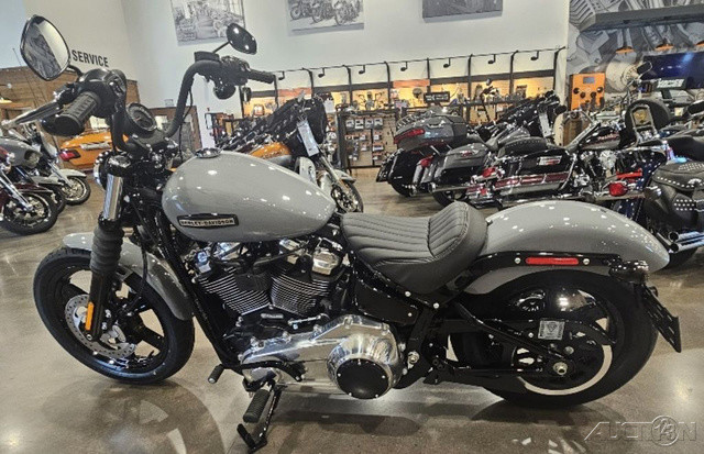 Street Bob®