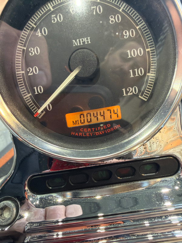 Sportster® 1200 Low