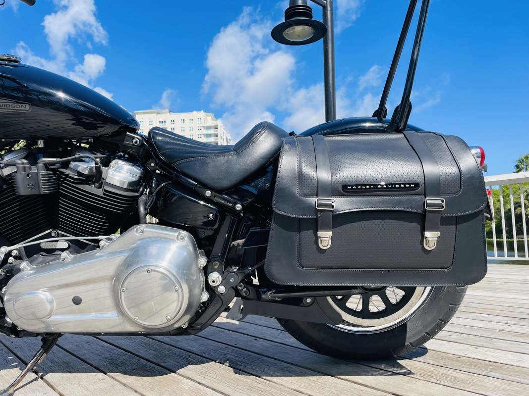 Softail® Standard