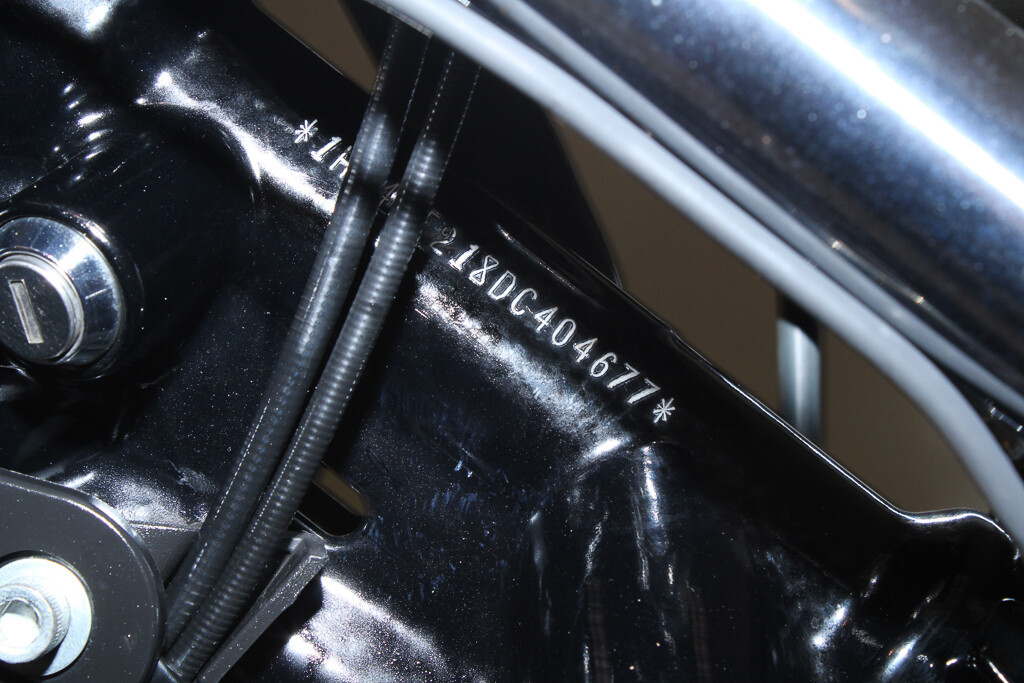 Sportster® Iron 883®