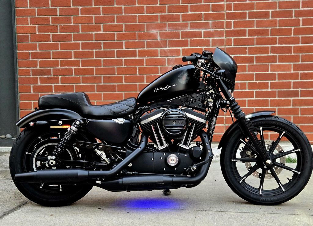 Iron 883®