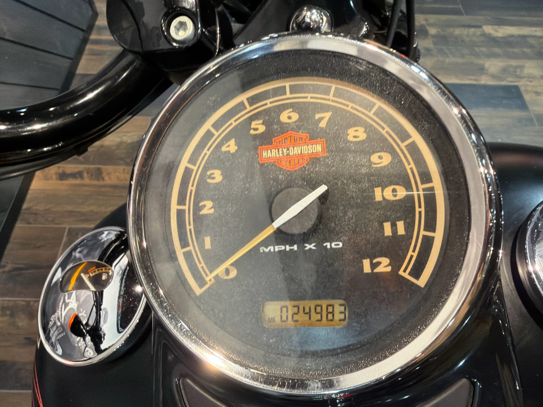 Softail® Cross Bones®