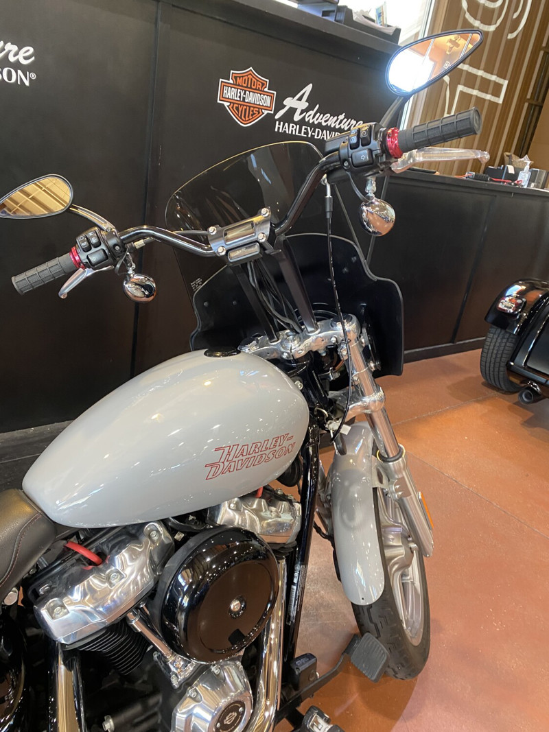 Softail® Standard