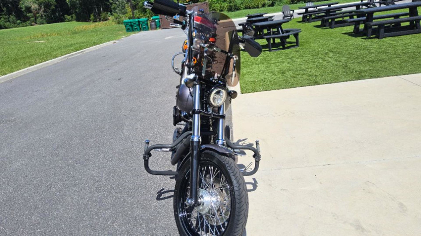 Dyna® Street Bob®