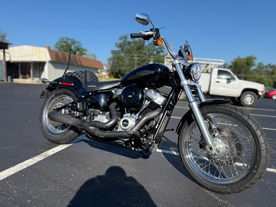Softail® Standard