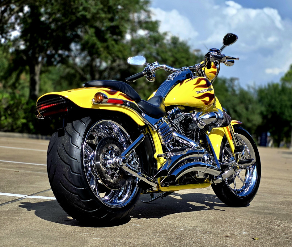 CVO® Softail® Springer®