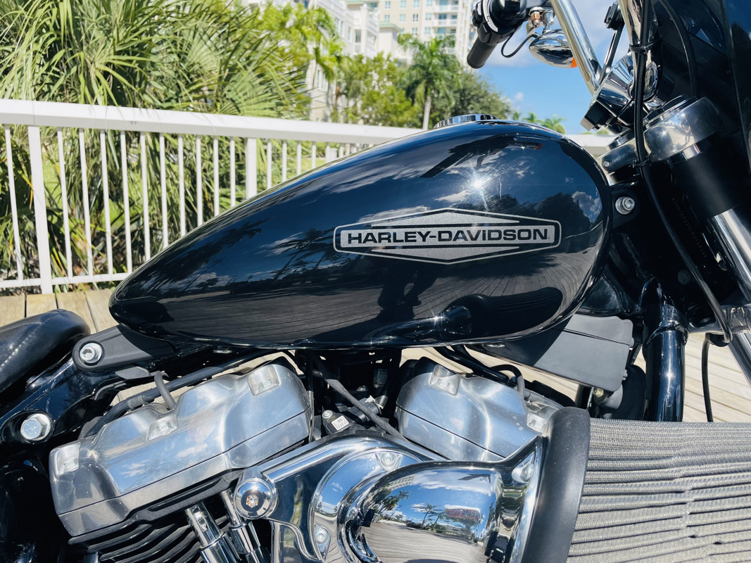 Softail® Standard