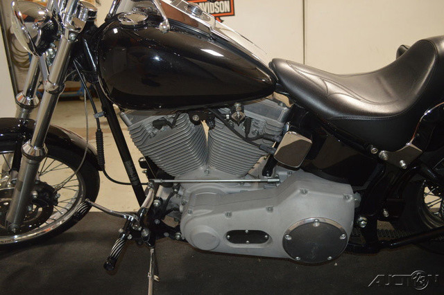 Softail® Standard