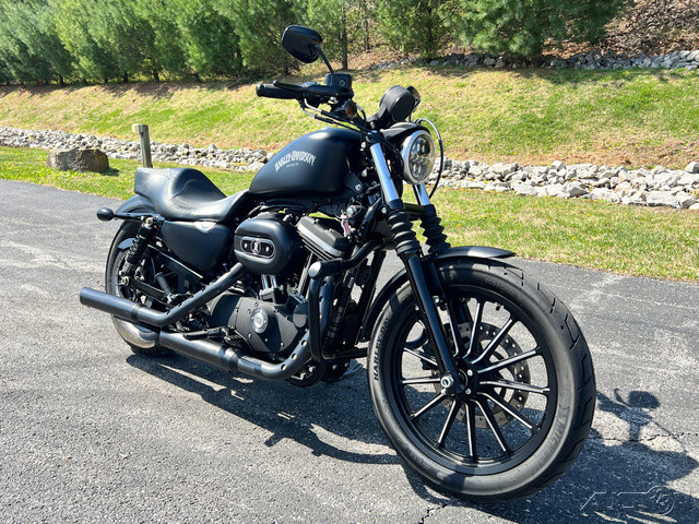 Sportster® Iron 883®