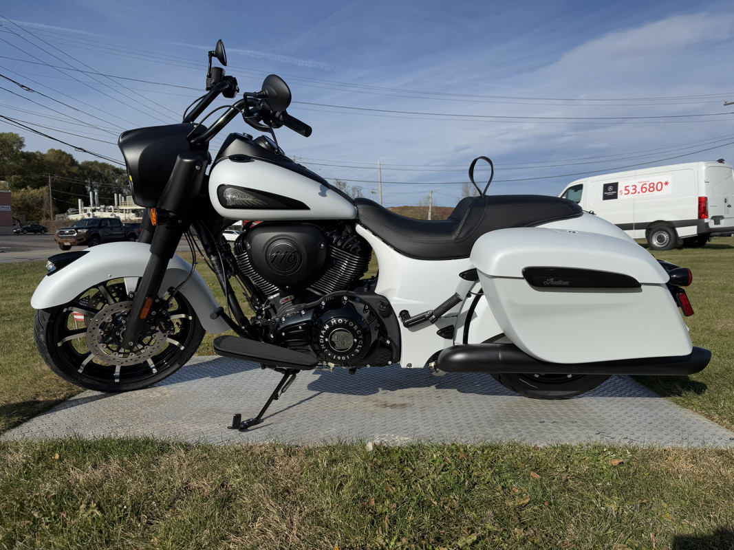 Springfield Dark Horse