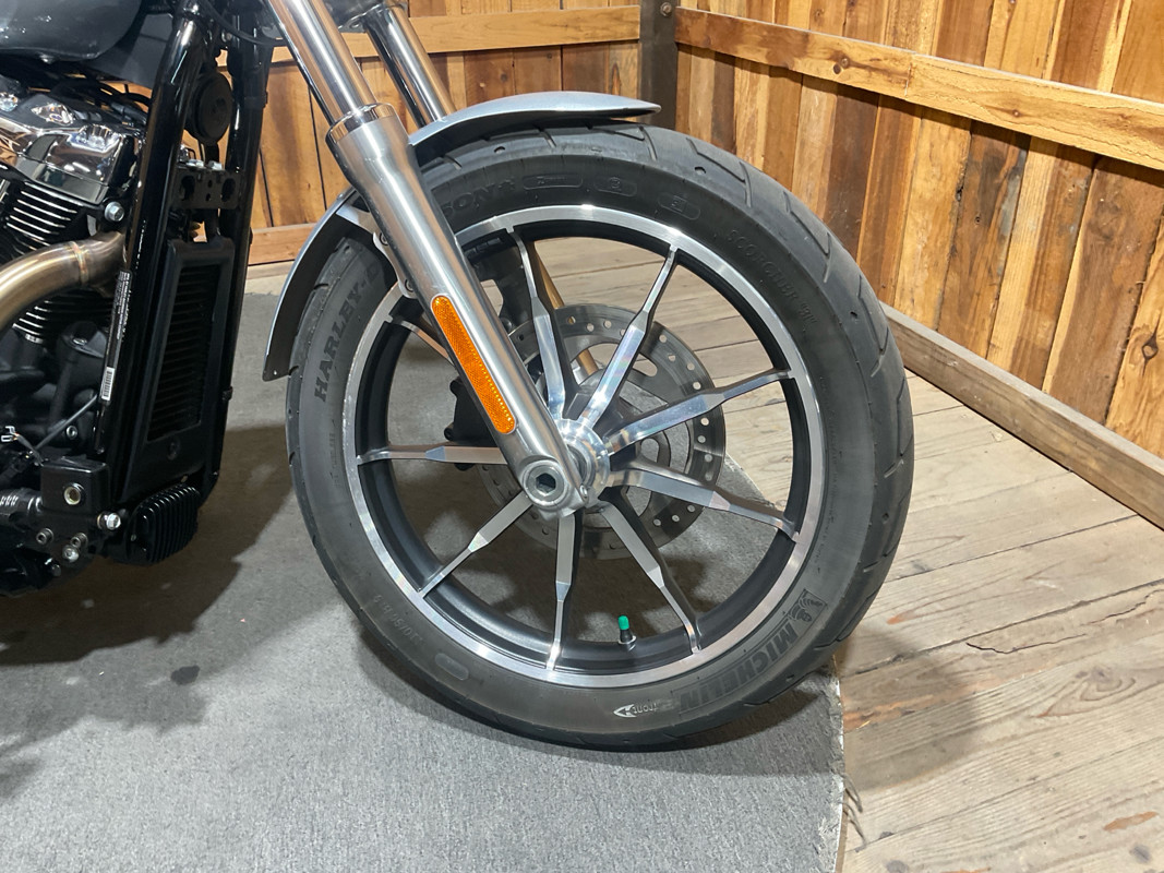 Softail® Low Rider®