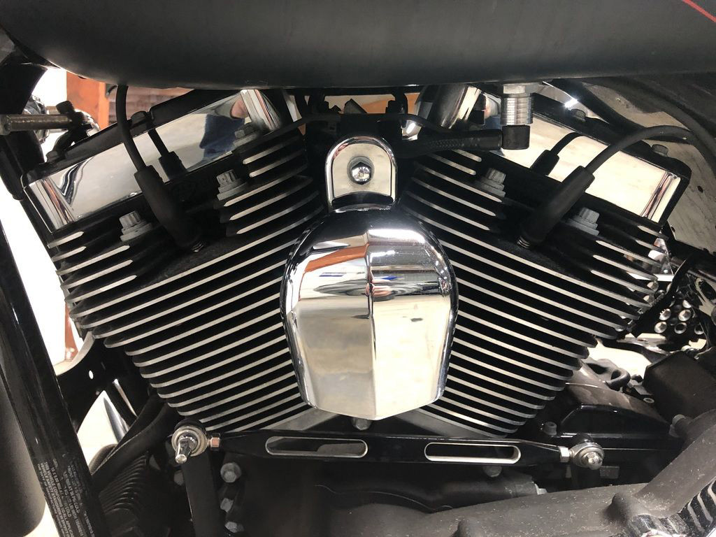 Road Glide® Custom