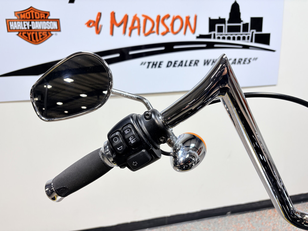 Softail® Standard