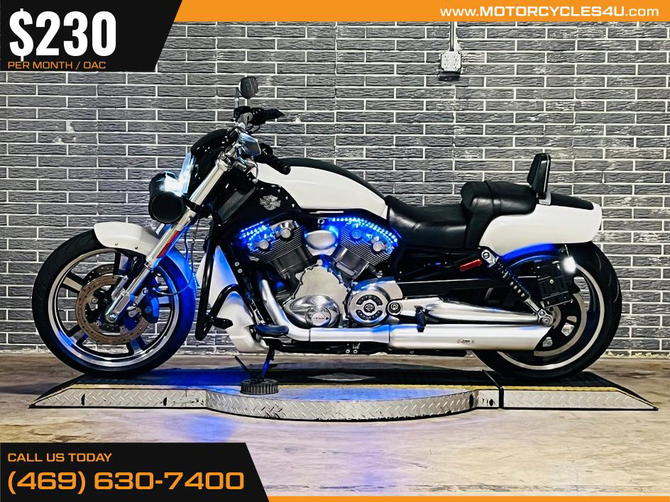 V-Rod® Muscle