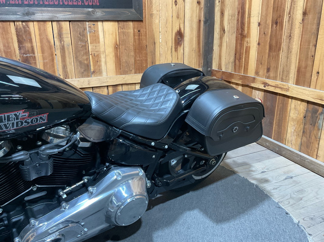 Softail® Standard