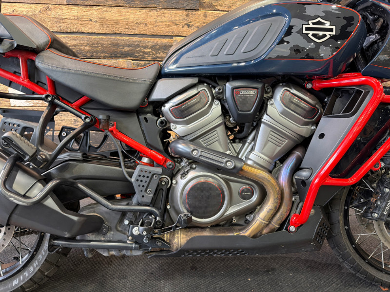 CVO® Pan America®