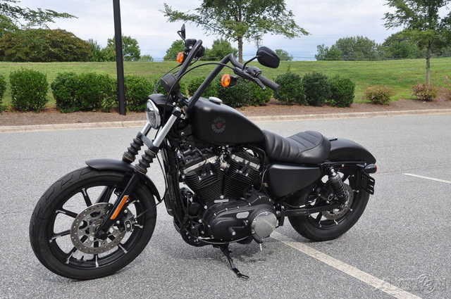 Iron 883®