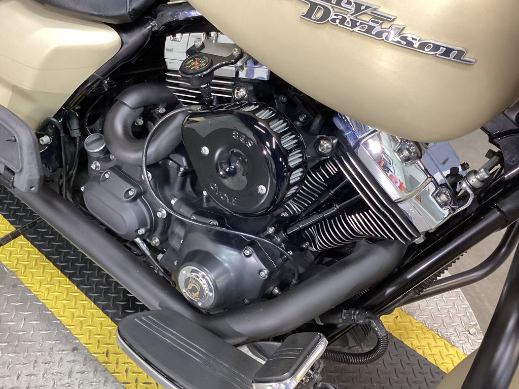 Street Glide® Special