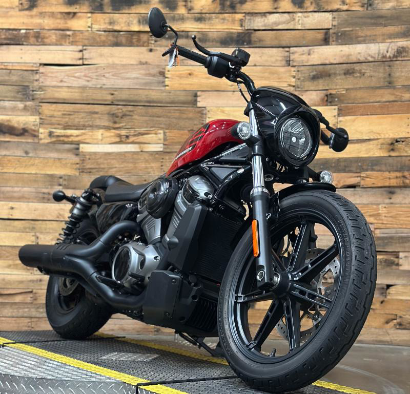 Nightster