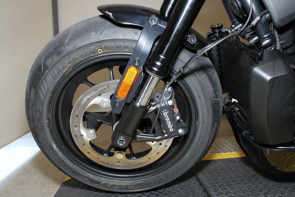 Sportster® S